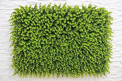 传闻：《无畏契约》将于7月26日登陆主机平台